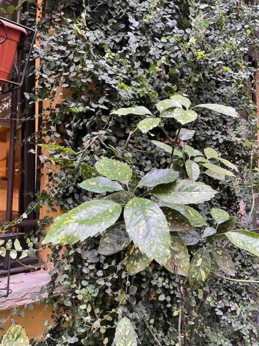 Loft Di Design Nel Cuore Di Milano Milão Exterior foto